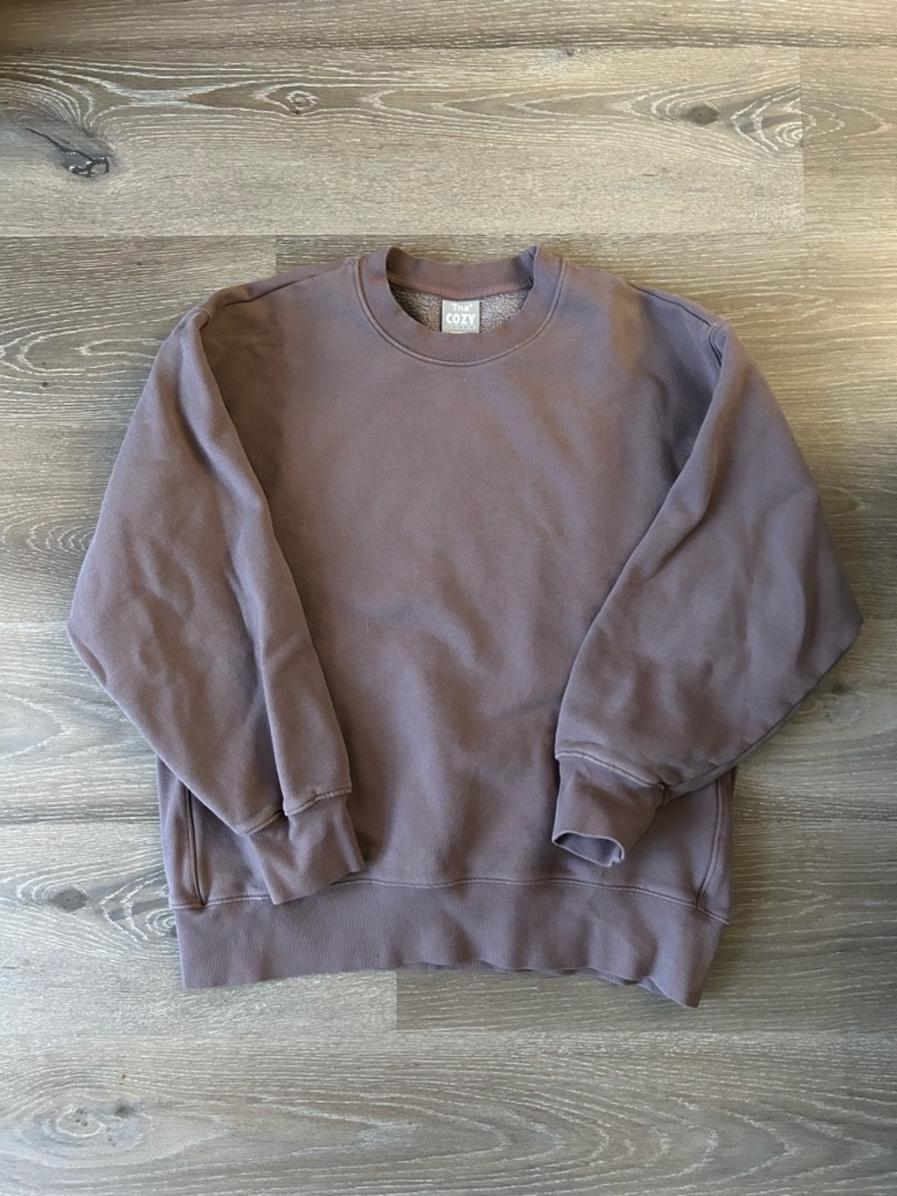 Aritzia TNA Boyfriend Crew Sweatshirt